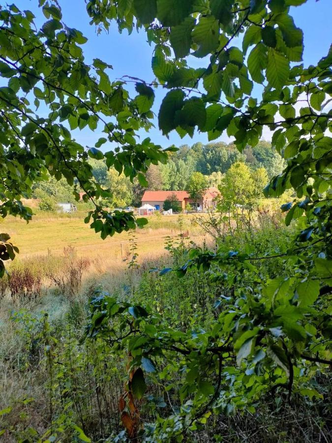 Chambre Spacieuse Avec Vue Sur Clocher Apartman Verchin Kültér fotó